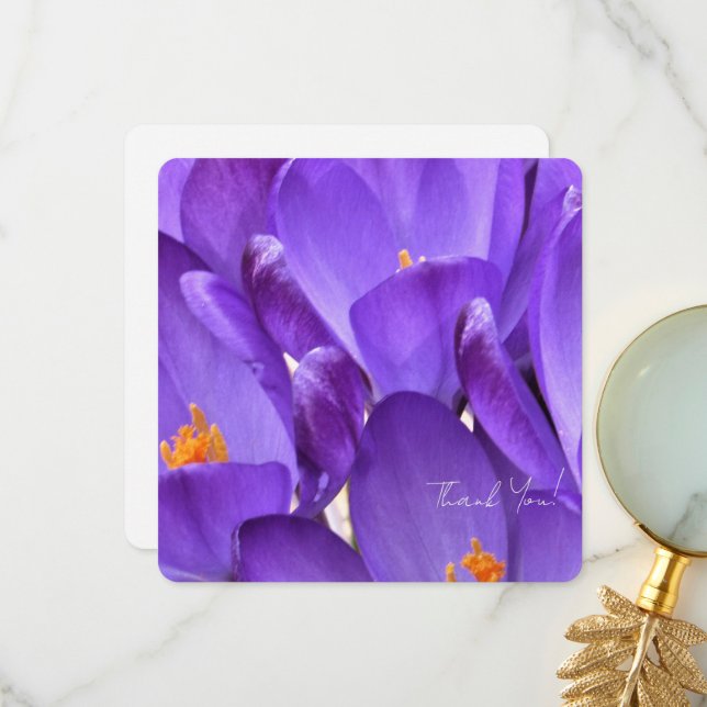 Tarjeta De Agradecimiento Fotografía de flores de crocus de primavera (Anverso/Reverso In Situ)