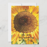 Fotografía de girasol | Eres la luz del sol
