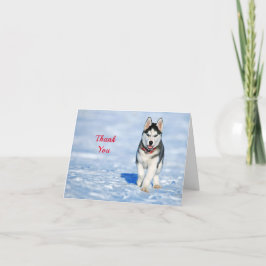 Tarjeta De Agradecimiento Fotografía de Husky Puppy Snow