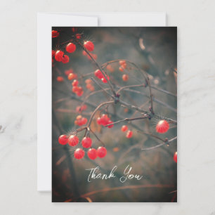 Tarjeta De Agradecimiento Fotografía de la naturaleza del invierno en las Be