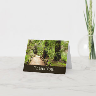 Tarjeta De Agradecimiento Fotografía de la naturaleza en Muir Woods Path II