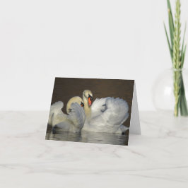 Tarjeta De Agradecimiento Fotografía de la pareja de cisnes blancos