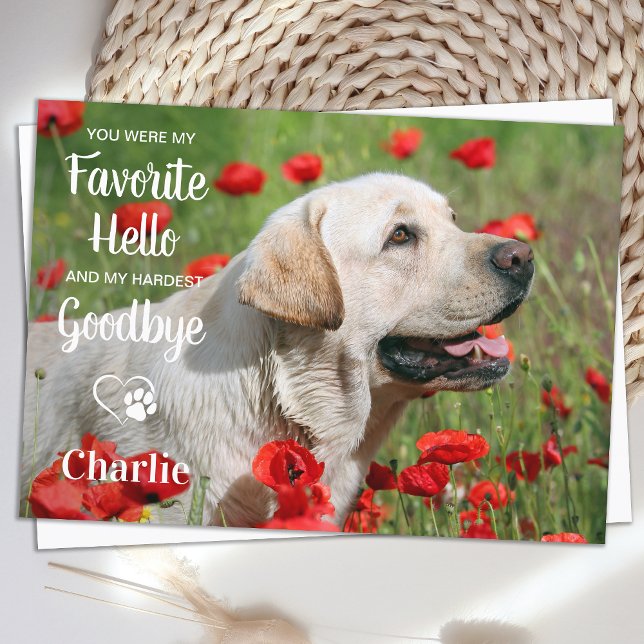 Tarjeta De Agradecimiento Fotografía de la simpatía del Mascota de Bienvenid (Subido por el creador)