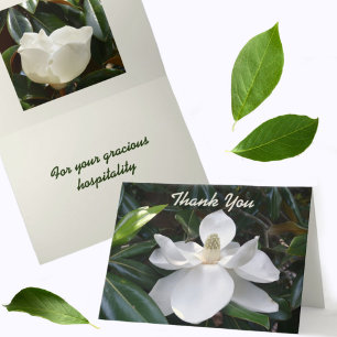Tarjeta De Agradecimiento Fotografía de Magnolia Blanca Botánica
