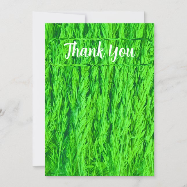 Tarjeta De Agradecimiento Fotografía de semillas de hierba verde de cosecha (Anverso)