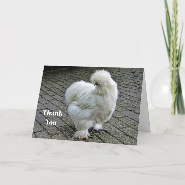 Tarjeta De Agradecimiento Fotografía de Silkie Blanco Pollo (Anverso)