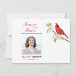 Tarjeta De Agradecimiento Fotografía del Funeral Cardinal Sympathy