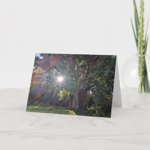 Tarjeta De Agradecimiento Fotografía del paisaje natural hawaiano