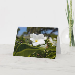 Tarjeta De Agradecimiento Fotografía del paisaje natural hawaiano