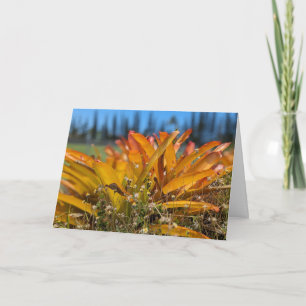 Tarjeta De Agradecimiento Fotografía del paisaje natural hawaiano