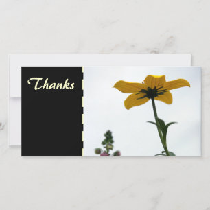 Tarjeta De Agradecimiento Fotografía floral de Bidens Amarillos Gracias Foto