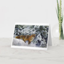 Fox in Winter (1904) de Bruno Liljefors