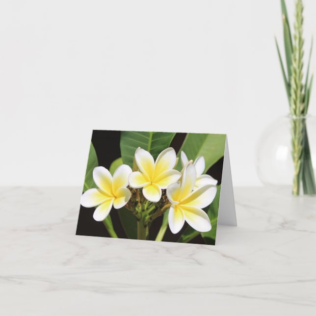 Tarjeta De Agradecimiento Frangipani vietnamita toda ocasión Notecard (Anverso)