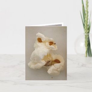 Tarjeta De Agradecimiento Frank El Cachorro 🍿 Critter Con Una Nariz Grande