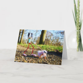 Tarjeta De Agradecimiento Fubby die zijn hondje uitlaat.