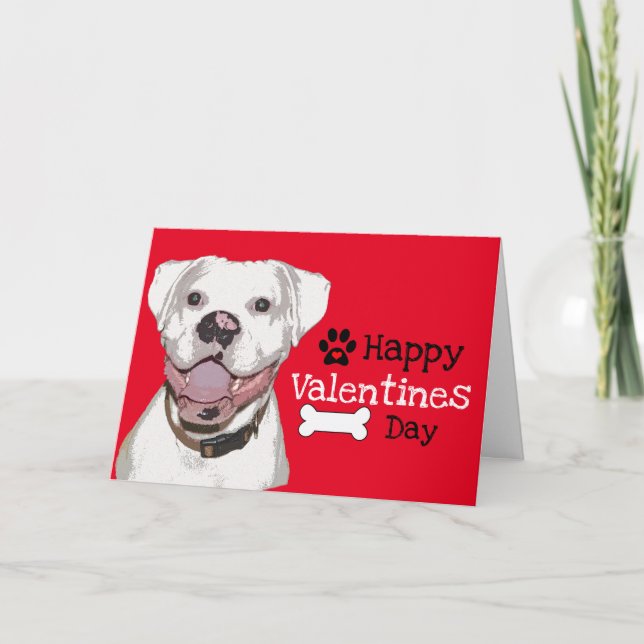 Tarjeta De Agradecimiento Fun White Boxer Dog Valentine (Anverso)