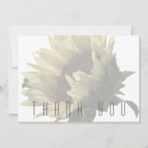 Funeral de Girasol Gracias