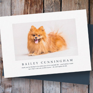 Tarjeta De Agradecimiento Funeral En Memoria Del Mascota   Elegante Foto Mod