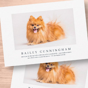 Tarjeta De Agradecimiento Funeral En Memoria Del Mascota   Elegante Foto Mod