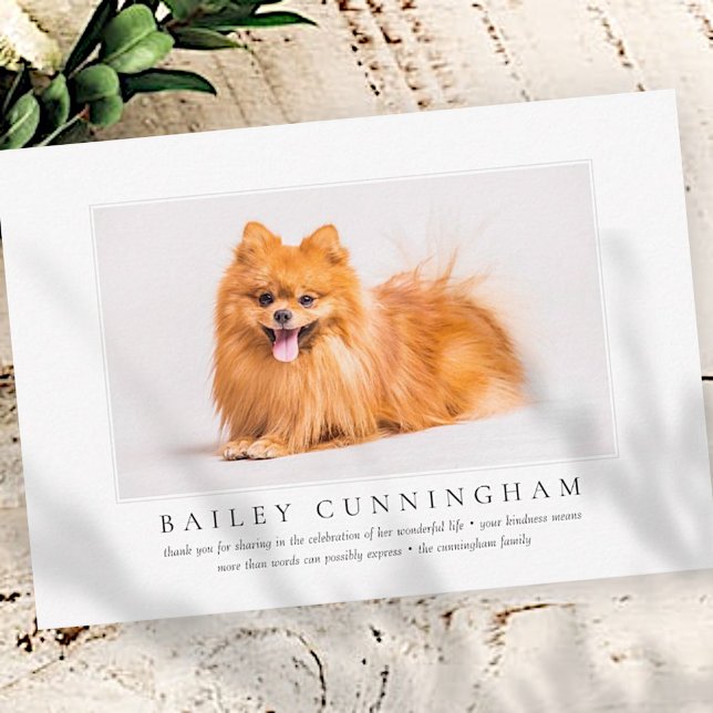 Tarjeta De Agradecimiento Funeral Memorial Para Mascota Elegante Moda Foto M (Subido por el creador)