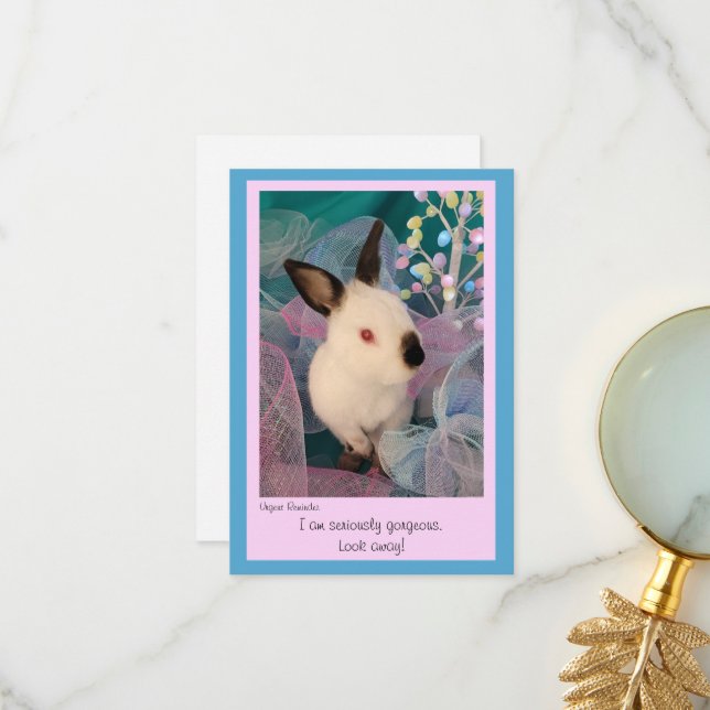 Tarjeta De Agradecimiento Funny Bunny Flat Greeting Card w/ Envelope (Anverso/Reverso In Situ)