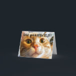 Tarjeta De Agradecimiento Funny Cat Birthday Card<br><div class="desc">Este es Sprocket. Sprocket muy expresivo y cuando le dije cuál era mi edad,  esta es la expresión que hizo. Pude capturar este momento y creo que capturé lo que ella estaba tratando de decirme. ¡Me dio una risa tan divertida! Espero que haga lo mismo por ti.</div>