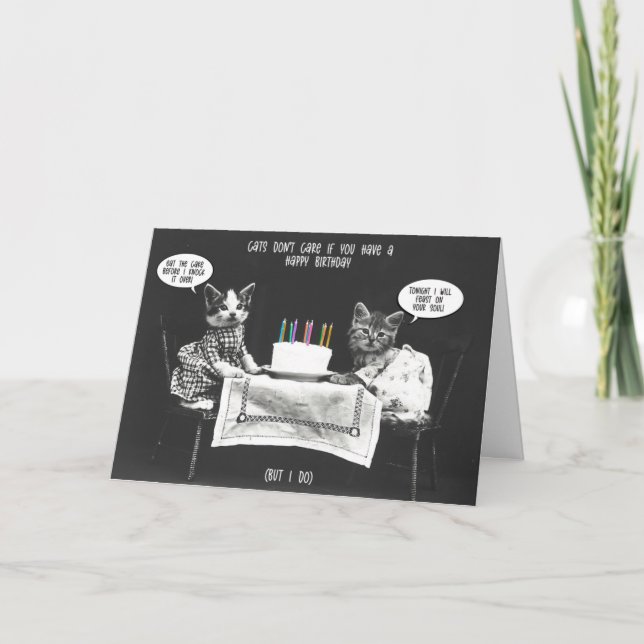 Tarjeta De Agradecimiento Funny Cat Lover Birday Card (Anverso)
