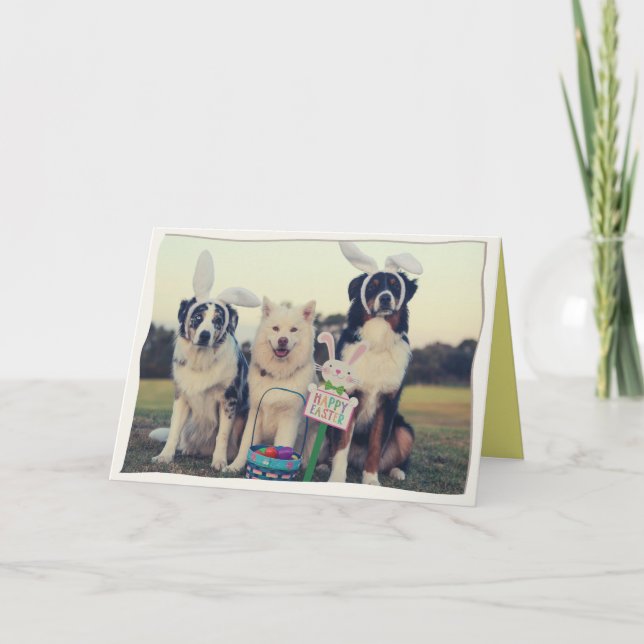 Tarjeta De Agradecimiento Funny Dogs Happy Easter Card (Anverso)