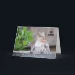 Tarjeta De Agradecimiento Funny Squirrel Belthday<br><div class="desc">Graciosa tarjeta de cumpleaños tardía. Foto de ardilla linda,  y sentimiento de "¡oh locos!". ¡Mantenga el texto tal como está,  o personalizar con el suyo!</div>