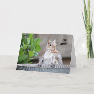 Tarjeta De Agradecimiento Funny Squirrel Belthday