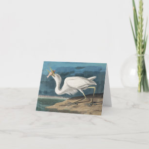 Tarjeta De Agradecimiento Garza Blanca Grande de Audubon: Ave Costera Vintag