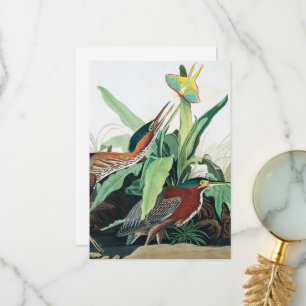 Tarjeta De Agradecimiento Garza verde por John James Audubon
