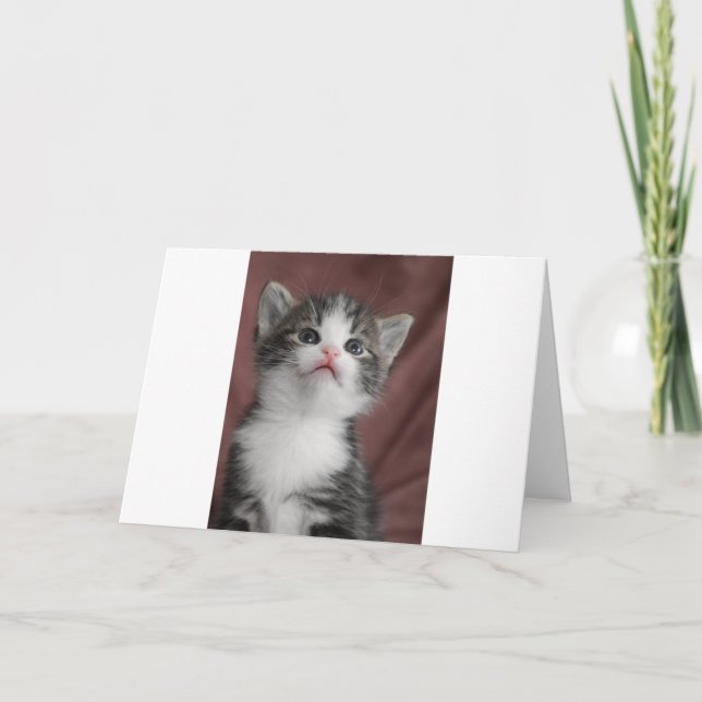 Tarjeta De Agradecimiento Gatito (Anverso)