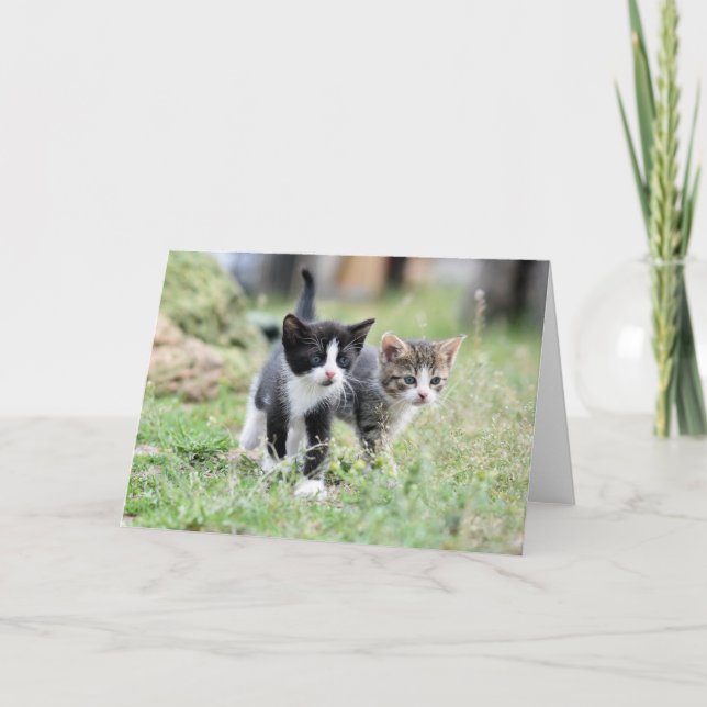 Tarjeta De Agradecimiento Gatito (Anverso)