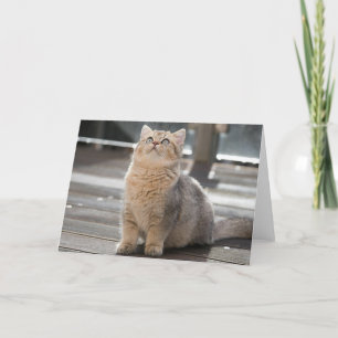 Tarjeta De Agradecimiento Gatito