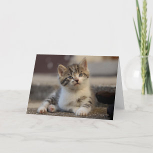 Tarjeta De Agradecimiento Gatito
