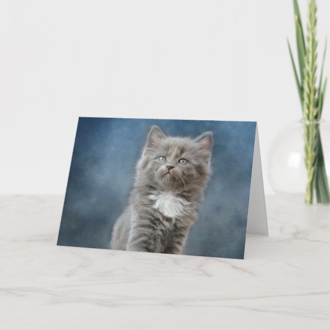 Tarjeta De Agradecimiento Gatito (Anverso)