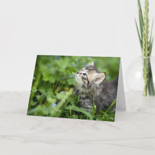 Tarjeta De Agradecimiento Gatito