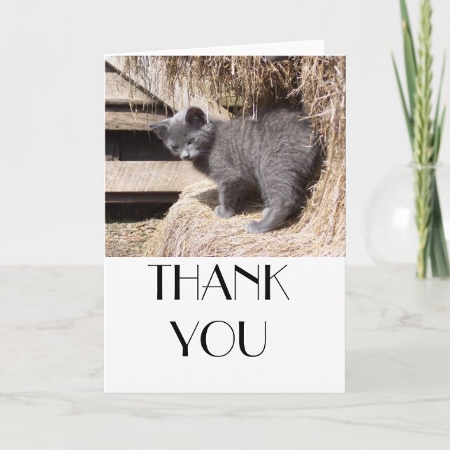 Tarjeta De Agradecimiento Gatito del granero (Anverso)