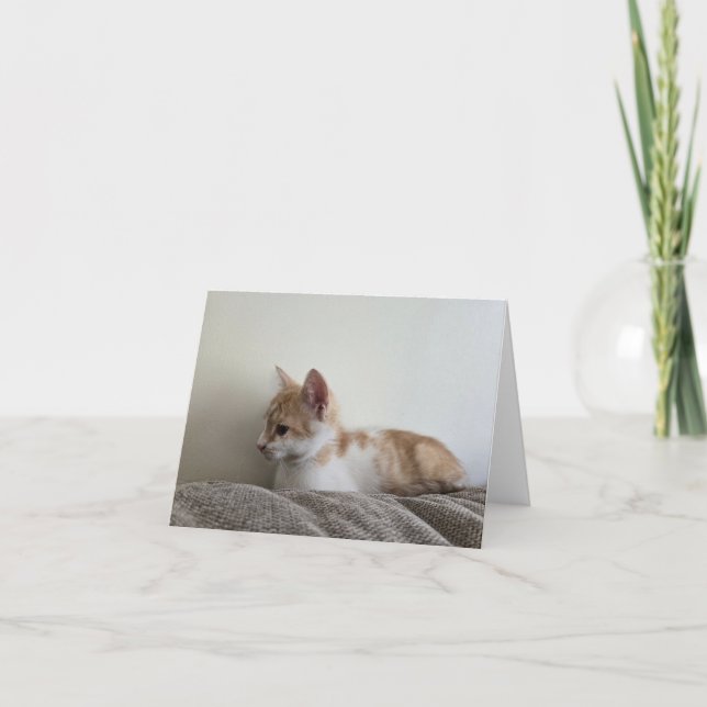 Tarjeta De Agradecimiento Gatito naranja (Anverso)