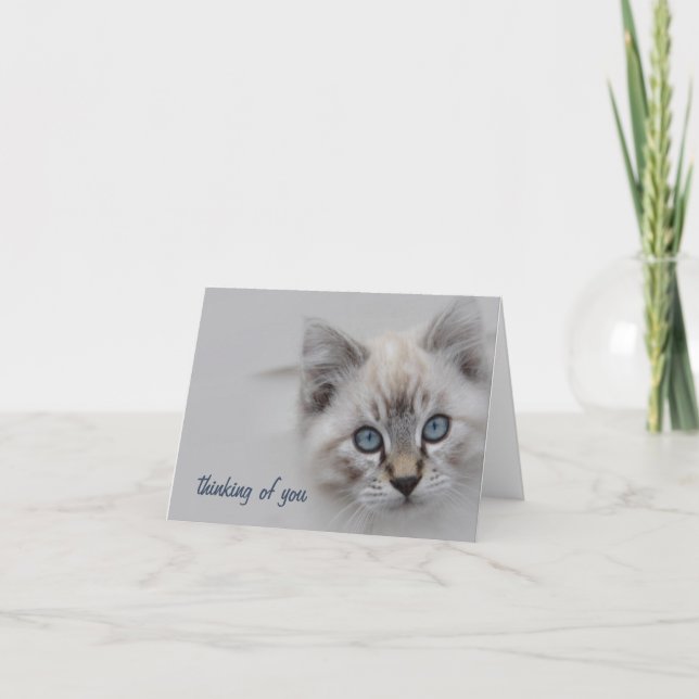 Tarjeta De Agradecimiento Gatito pensando en tu carta - Personalizable (Anverso)