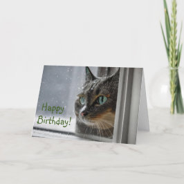Tarjeta De Agradecimiento Gato de cumpleaños gatito
