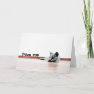Tarjeta De Agradecimiento Gato de gato de peluche escocés súper lindo "Graci