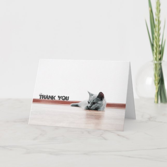 Tarjeta De Agradecimiento Gato de gato de peluche escocés súper lindo "Graci (Anverso)