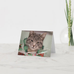 Tarjeta De Agradecimiento Gato de Navidades FAMD