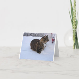 Tarjeta De Agradecimiento gato del bosque noruego en la nieve