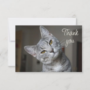 Tarjeta De Agradecimiento Gato Gatito Divertido Lindo Gracias
