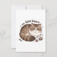 Gato Kam Kam Esponjoso Gruñón