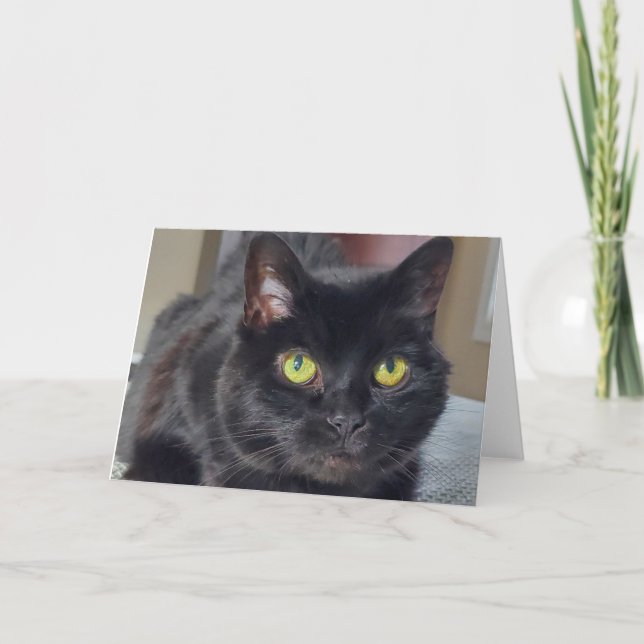 Tarjeta De Agradecimiento Gato negro (Anverso)