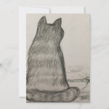 Gato vigilándonos